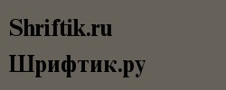 Times NR Cyr MT Bold 